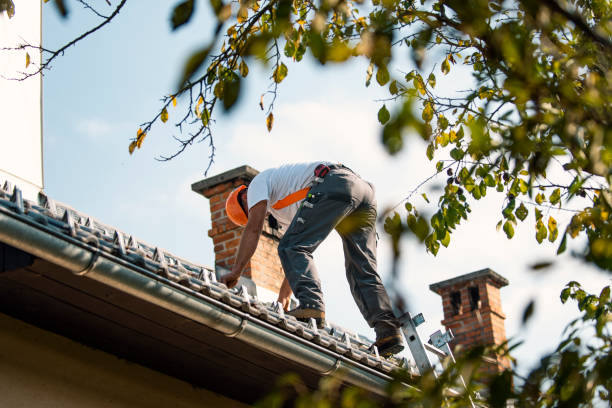 Quick and Trustworthy Emergency Roof Repair Services in Elwood, UT