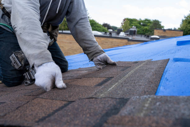 Roof Waterproofing Services in Elwood, UT