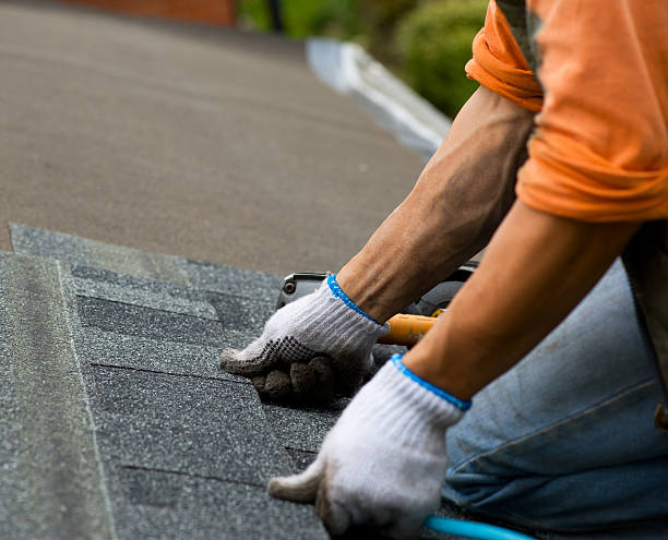 Gutter Installation and Roofing in Elwood, UT