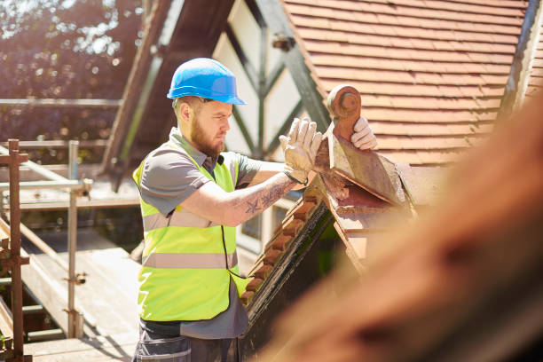 Best Roof Gutter Cleaning  in Elwood, UT